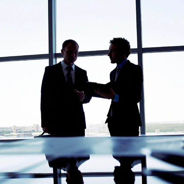 Consulting
